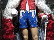 Liberace Museum