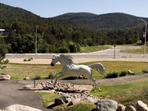New Mexico Museums