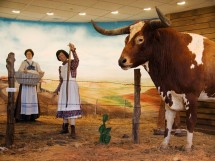 Cattle Raisers Museum