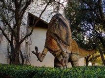 Ft Worth Museum of Science & History