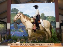 Texas Rangers Hall of Fame & Museum