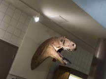 College of Eastern Utah Prehistoric Museum