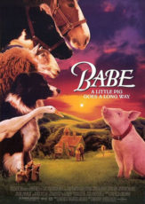 Babe 1995 Film Essay by Arthur Taussig