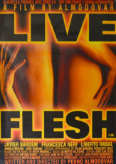 Live Flesh film essay by Arthur Taussig